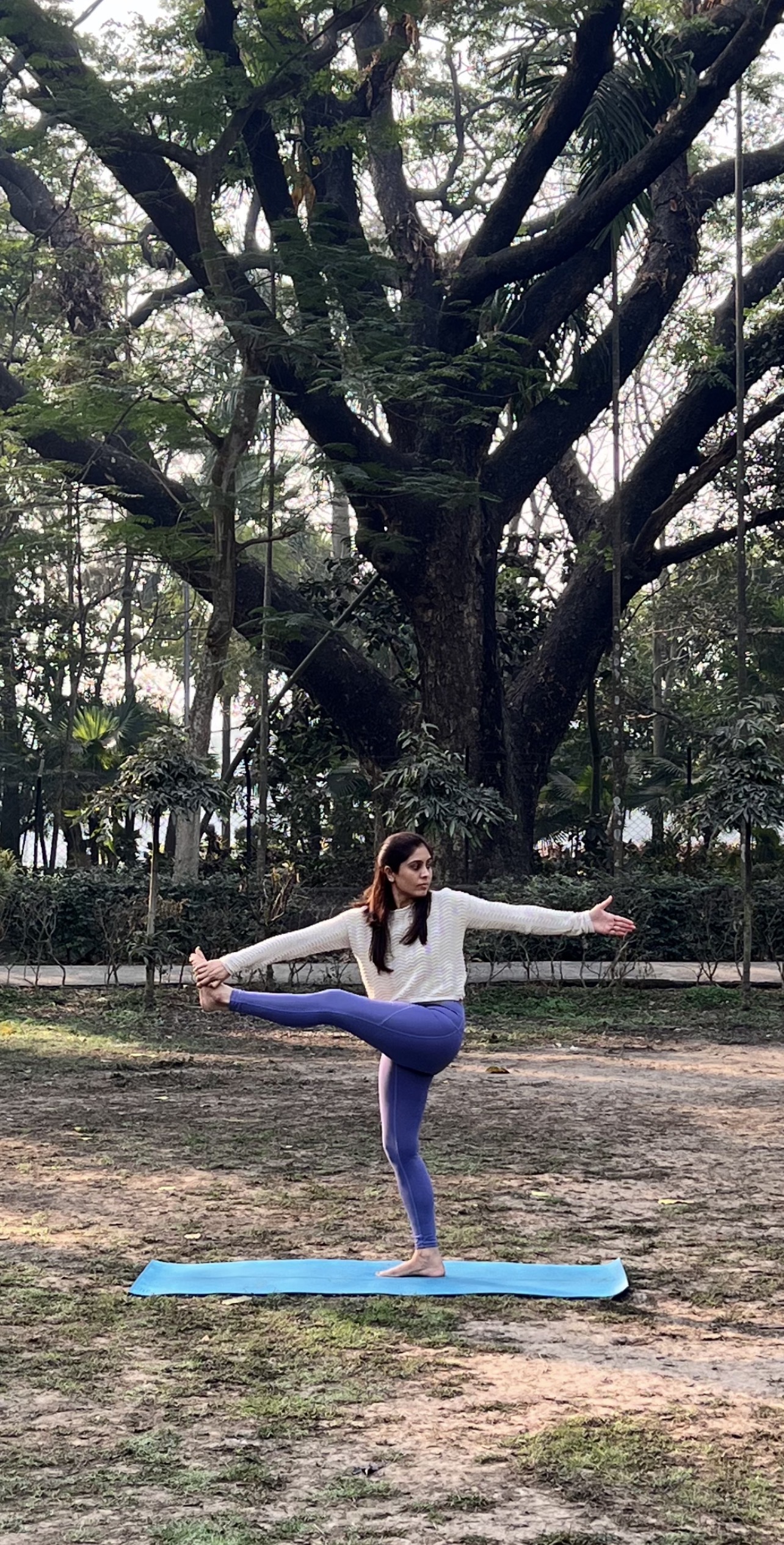 Standing Balance Pose