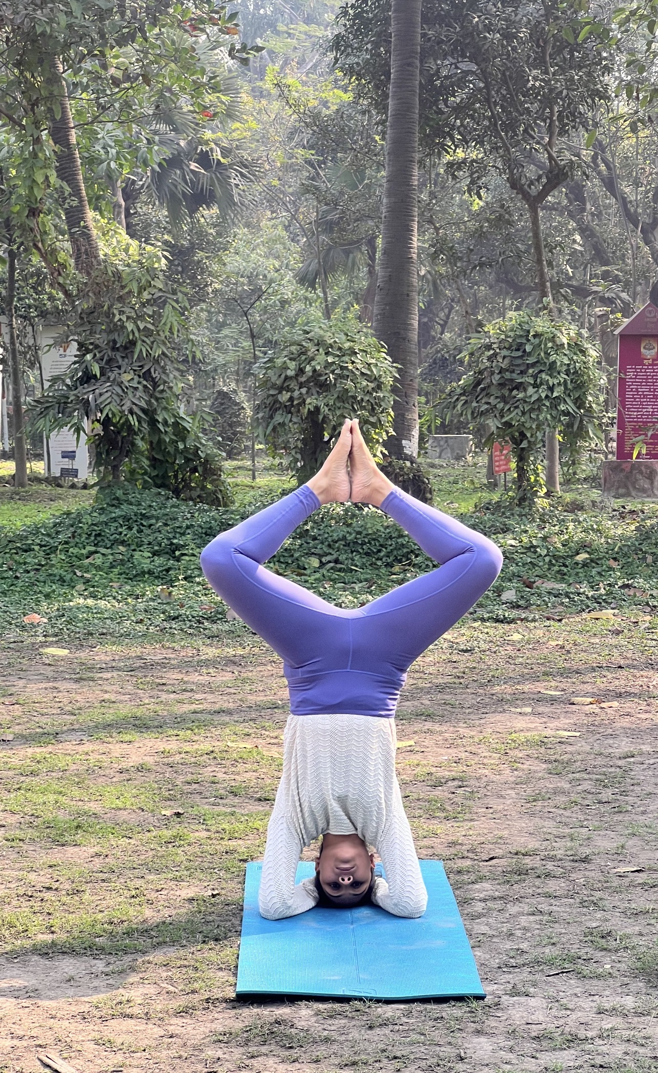 Shirshasana Variation