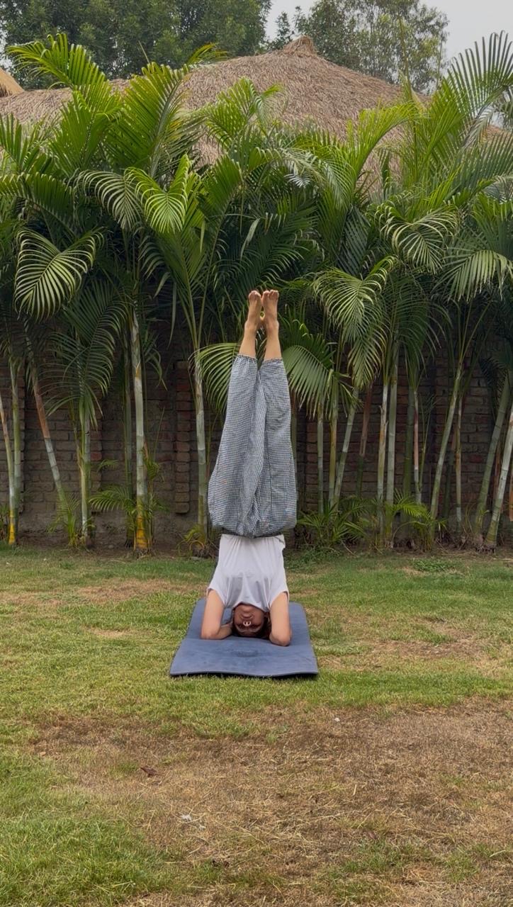 Shirshasana — Headstand